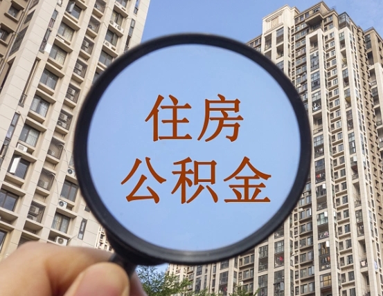 固始退休后查不到公积金明细了吗（退休后公积金查询不到原因）